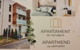Apartament Jagiełły